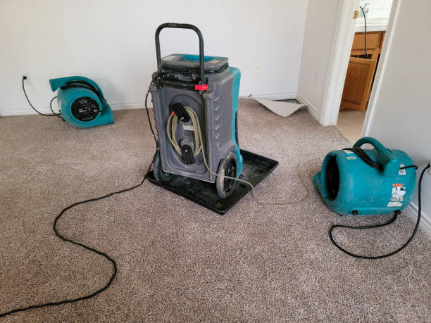 Best Flood damage cleanup  in De Queen, AR