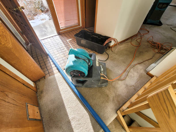 Best Water damage cleanup near me  in De Queen, AR