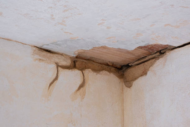 Best Residential water damage restoration  in De Queen, AR