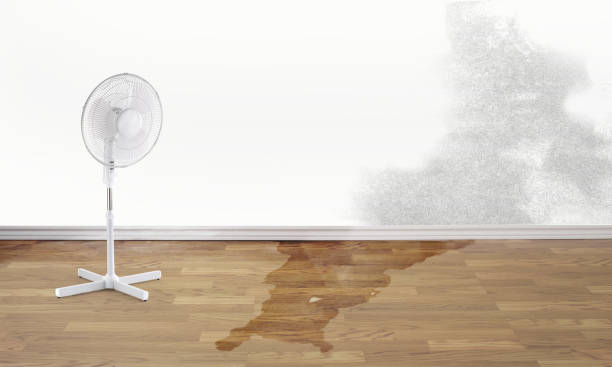 De Queen, AR Water damage restoration Company