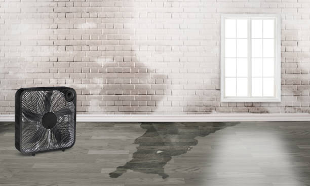 Best 24/7 water damage repair  in De Queen, AR