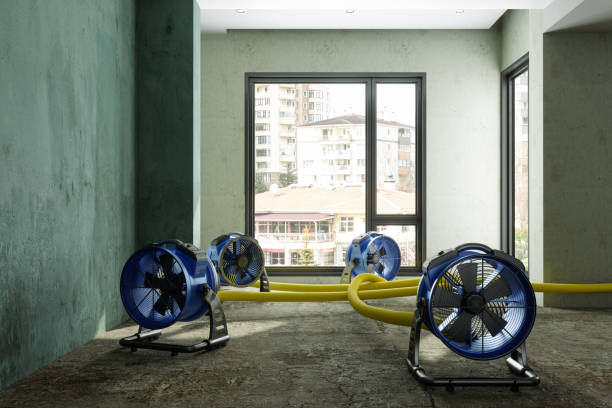 Best Flood restoration services  in De Queen, AR